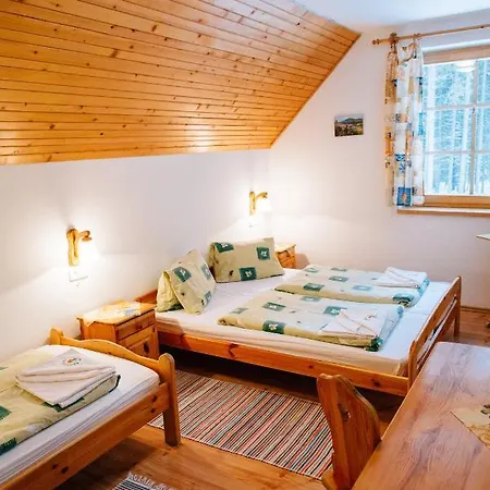Guest house Sindlovec Oravice