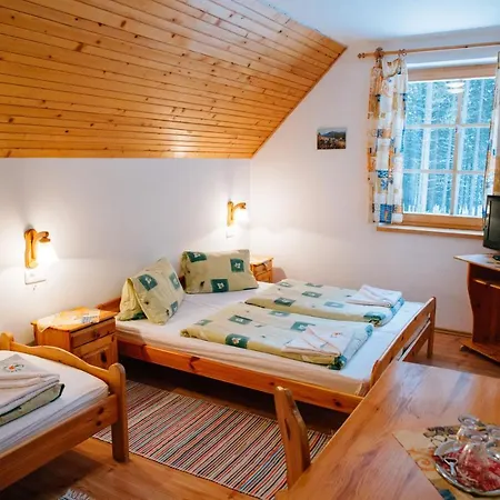 Guest house Sindlovec Oravice