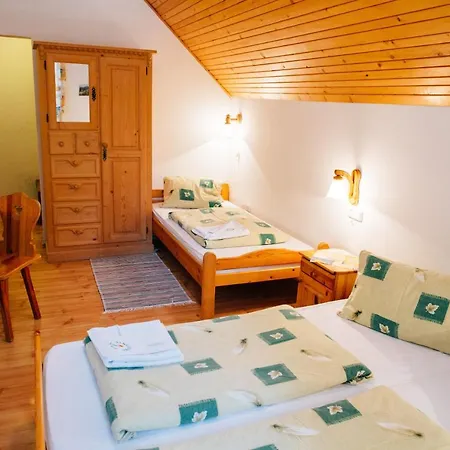 Sindlovec Guest house Oravice
