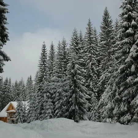 Sindlovec 3* Oravice